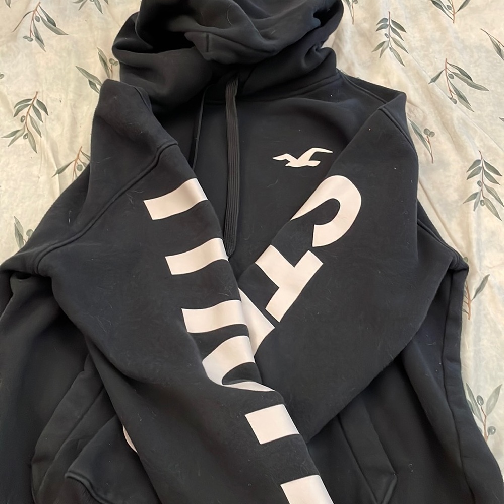 Extra small Hollister hoodie!